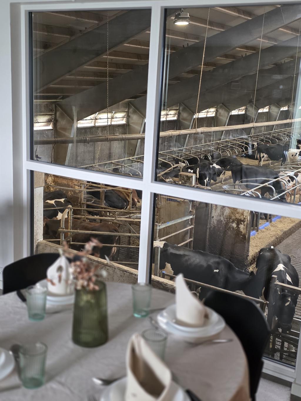 Kafé á Fjósloftinum á Varmakeldugarðinum