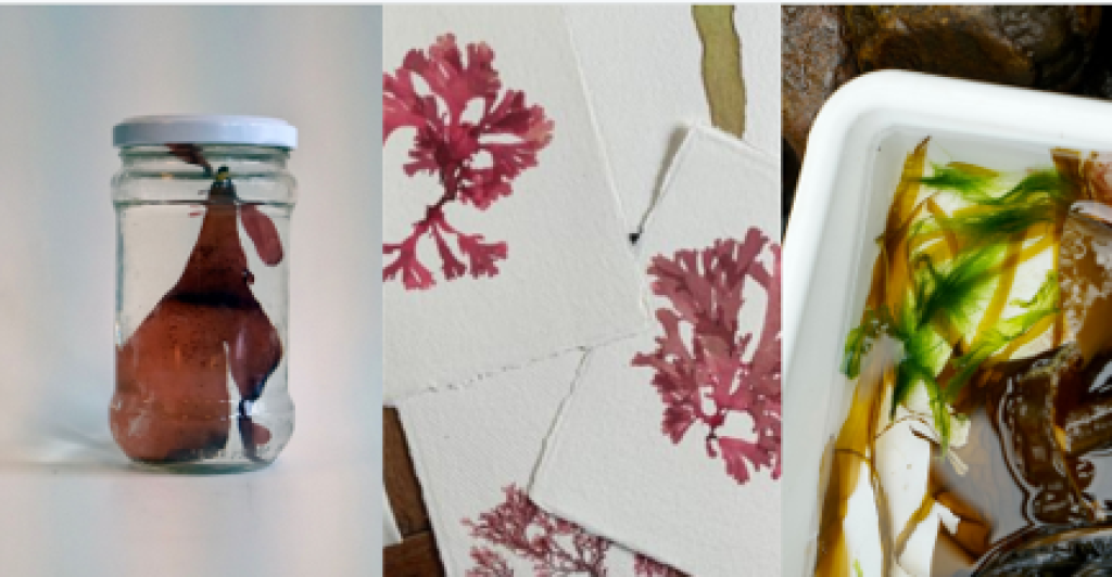 hands-on and creative workshop