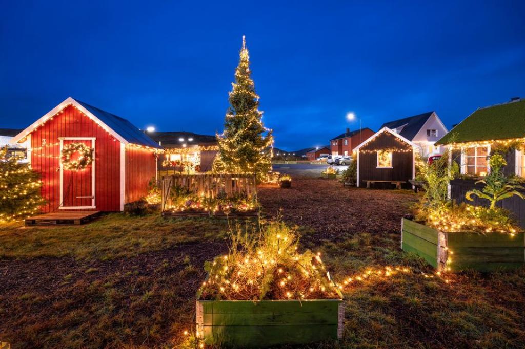 Lighting the Christmas trees