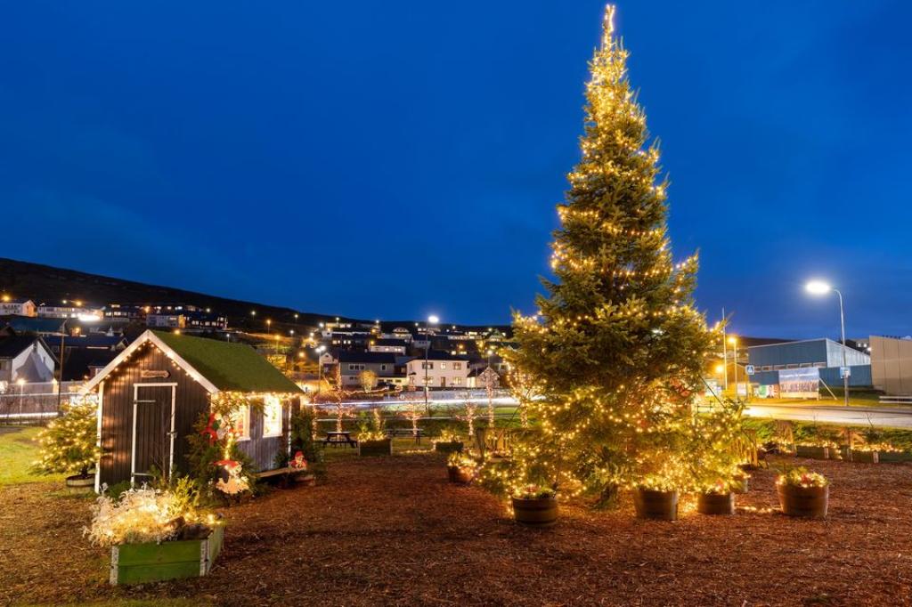 Lighting the Christmas trees