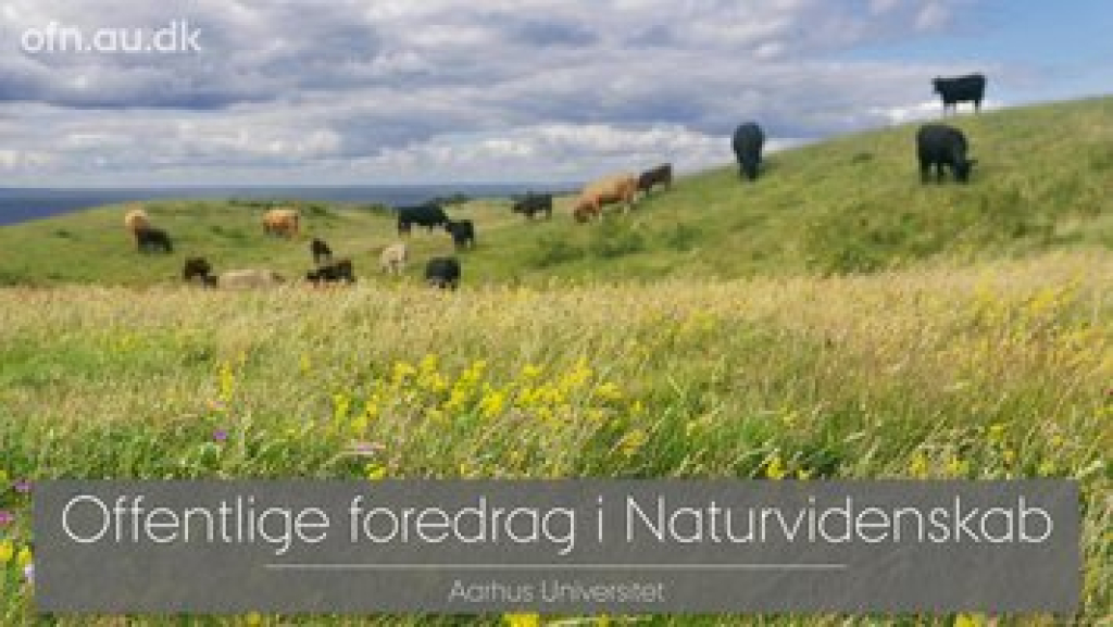 Fortíðarinnar og framtíðarinnar náttúra