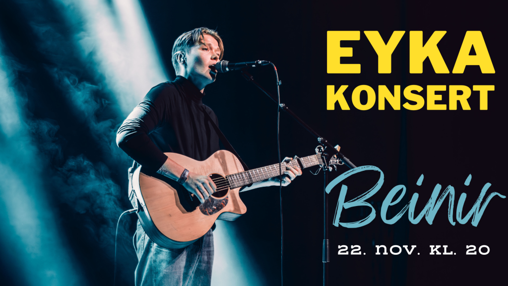 Concert with singer-songwriter: Beinir