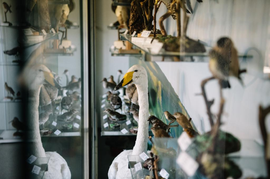 The Village Museum of Sumba