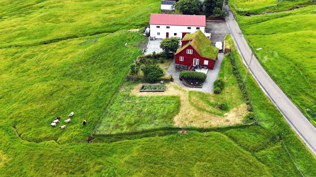 Taste & Experience Faroese Tradition 