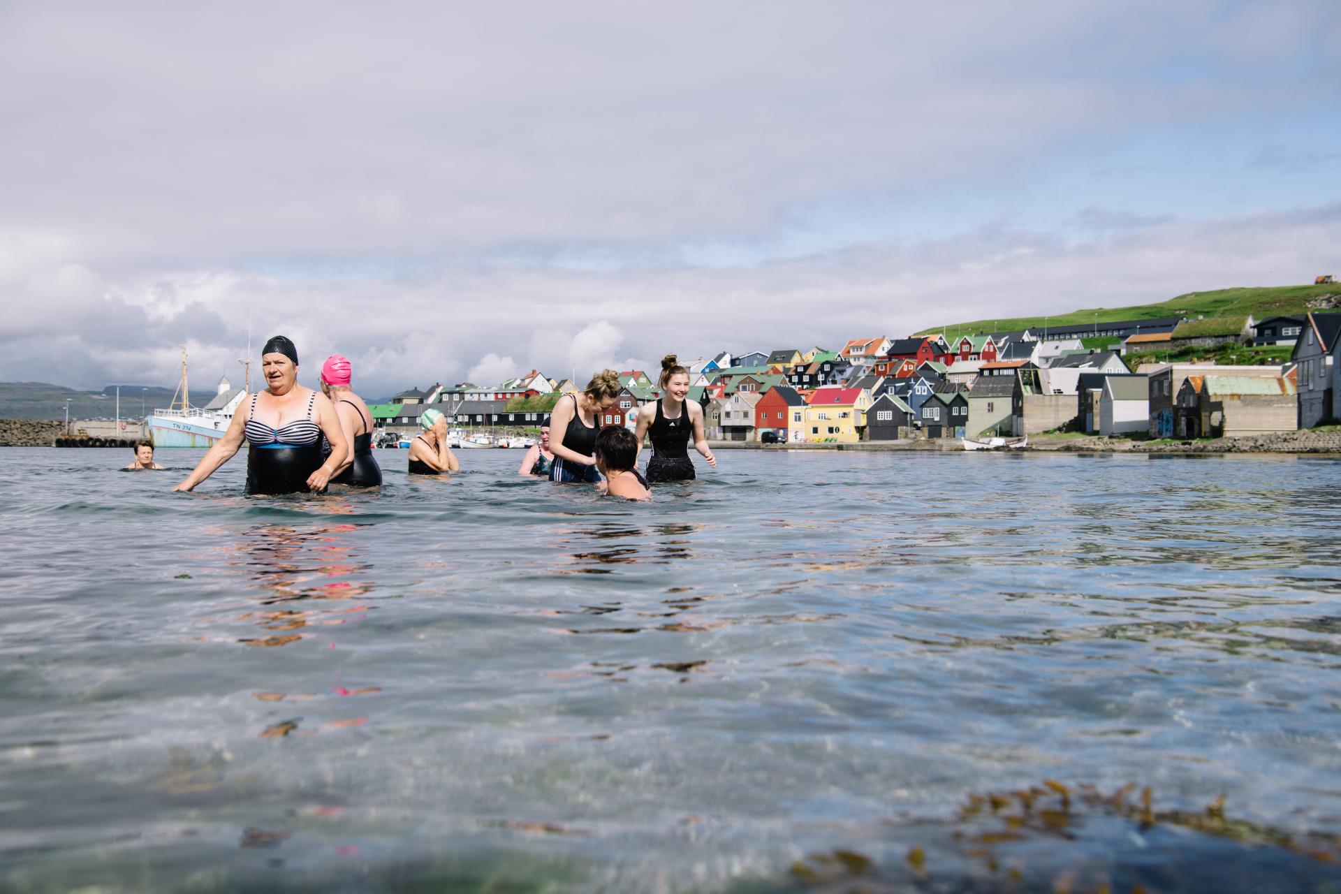 Thumbnail of - Dipping Swa Swimming in Nólsoy, Faroe Islands. By Klara Johannesen