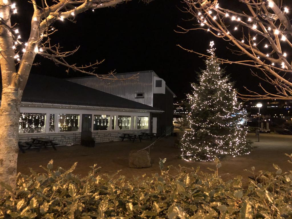 The Christmas Tree Lighting in Fuglafjørður