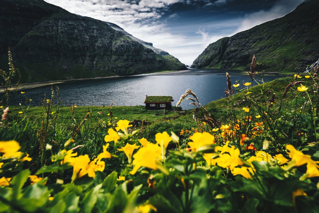 Highlights of the Faroe Islands – Day Tour