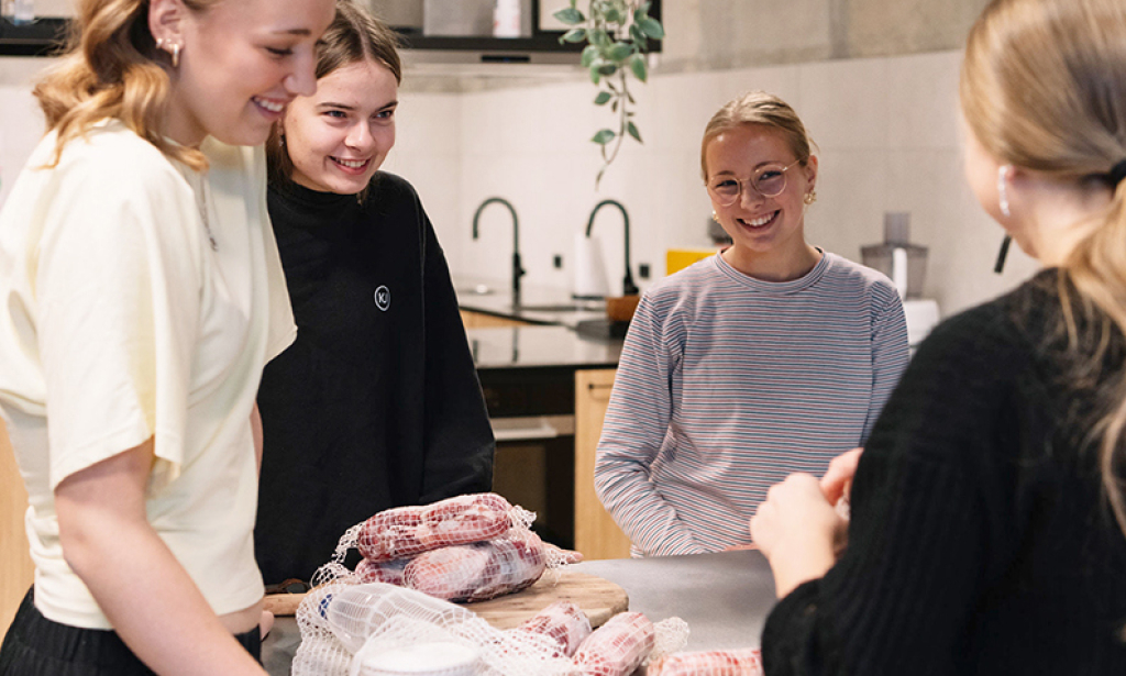 Rótin – Green Creativity from the Faroe Islands