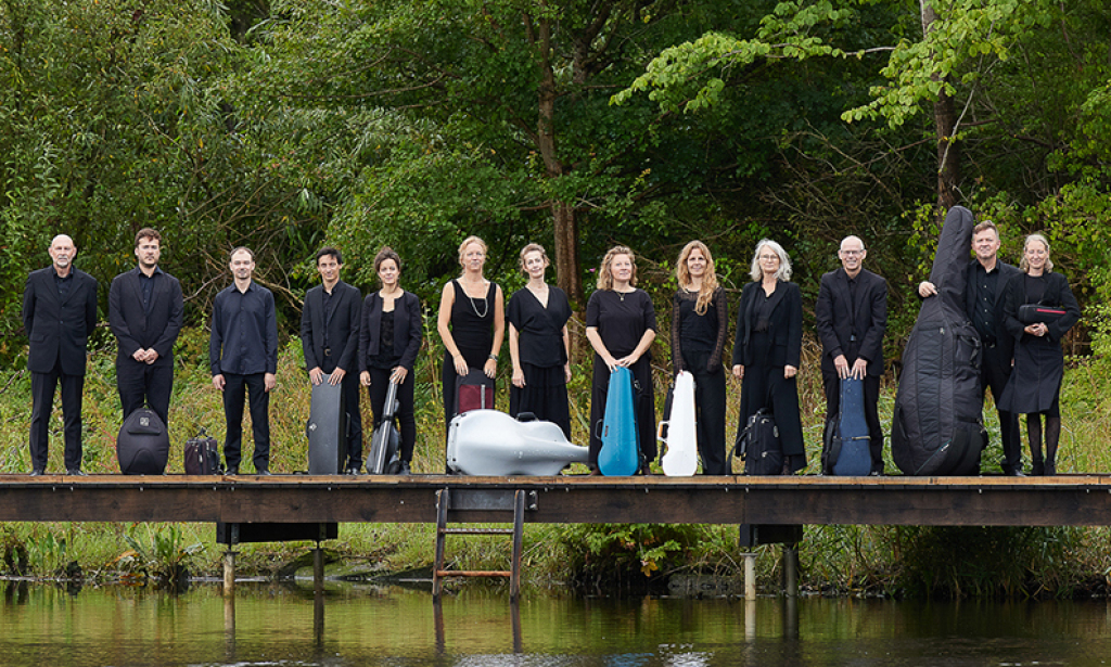 Randers Chamber Orchestra with Anja Nedremo (DK/NO)
