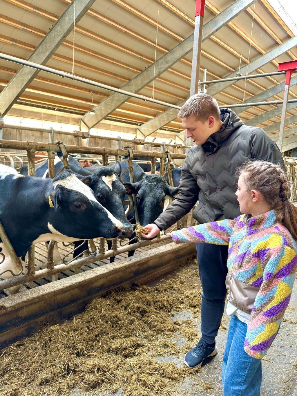 Visit the dairy farm