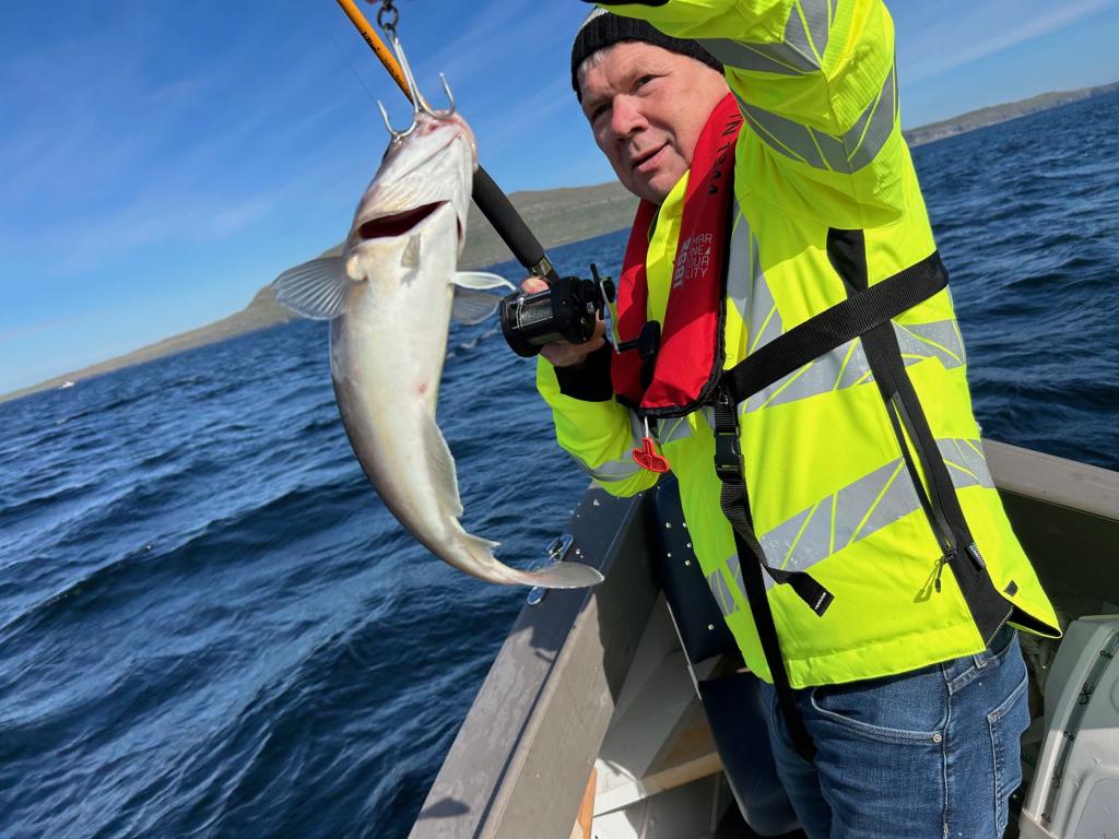 Faroe Boat Tour